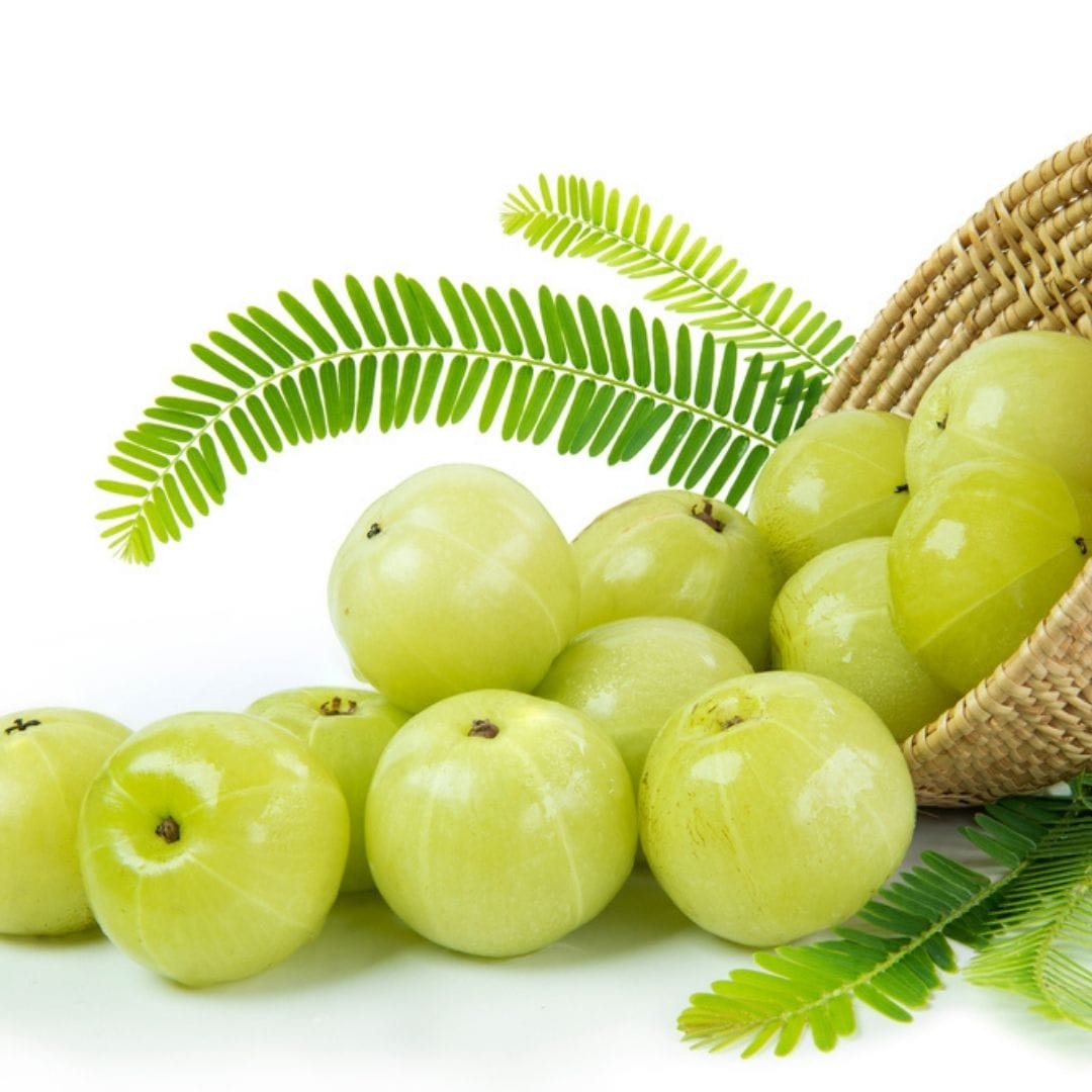 AMLA 500GM