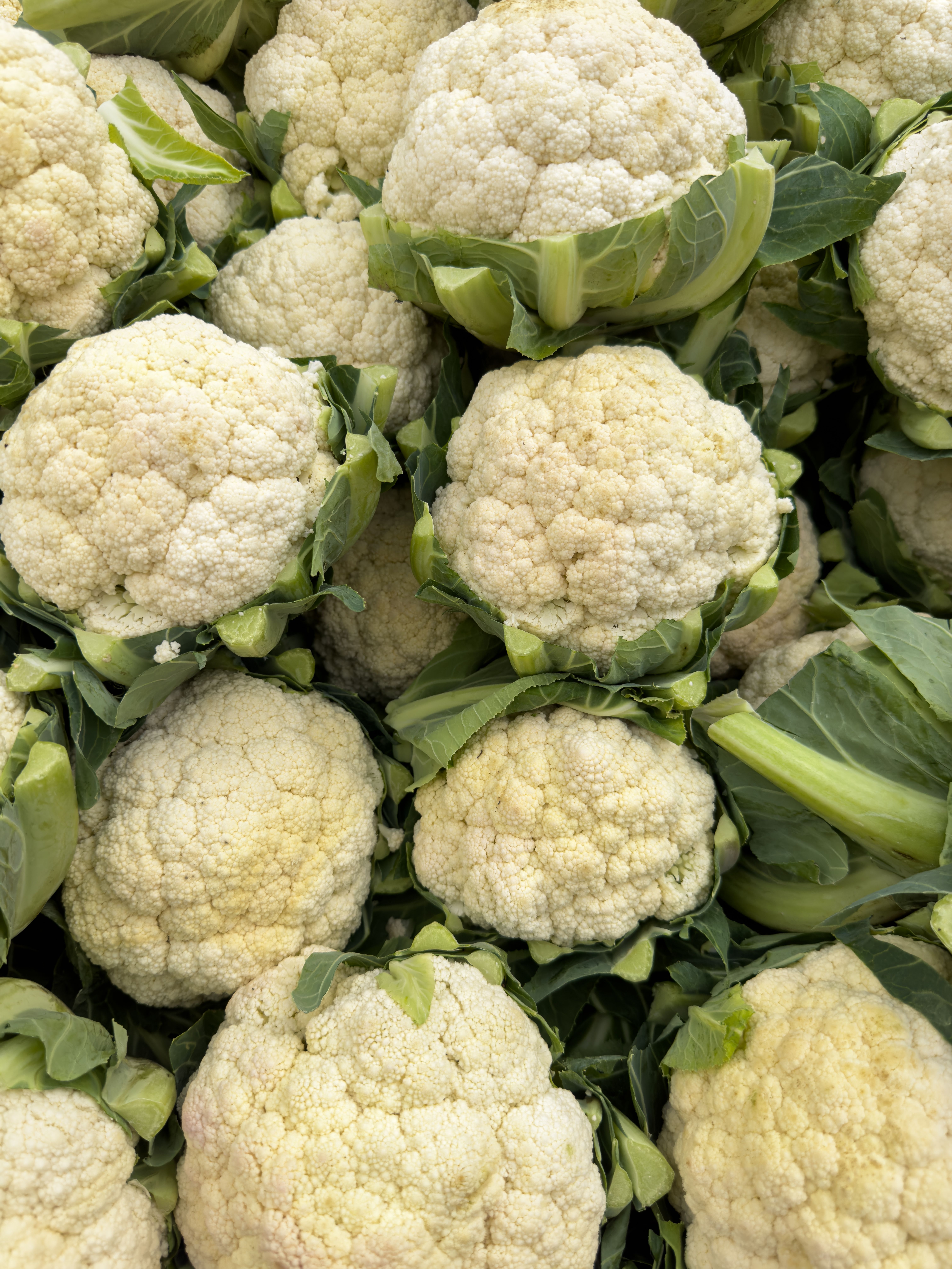 INDIAN CAULIFLOWER/KG