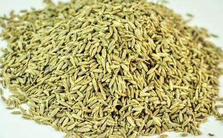 FARMER BRAND FENNAL SEED 100GM