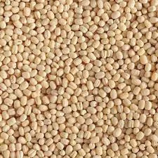 NAVIN URAD DHALL 500GM