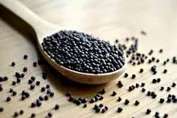 PATTU MUSTRAD SEED 100GM
