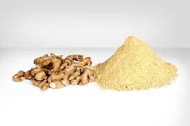 SRI MURUGAN GINGER POWDER 100GM