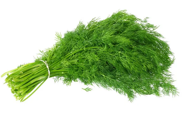 DILL LEAFS 200GM