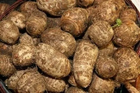 ARBI 500GM