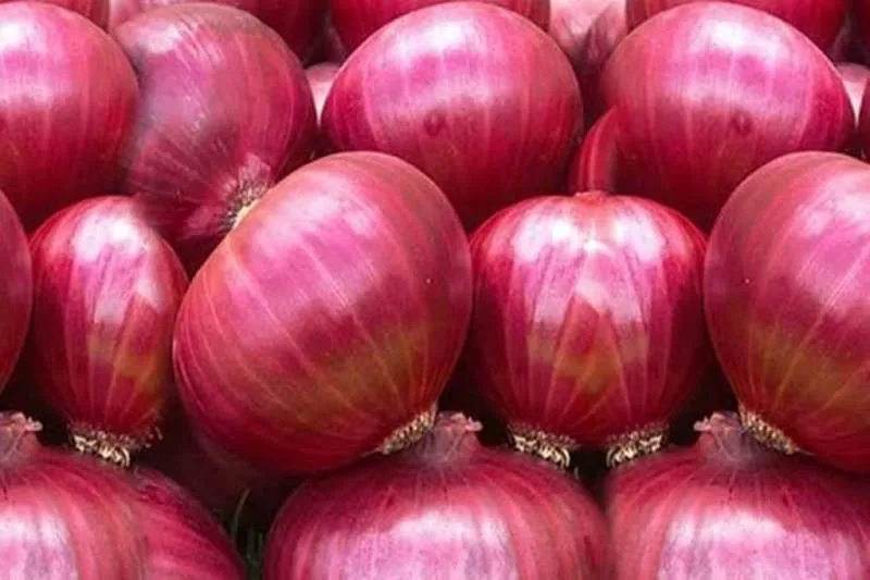ONION 1KG