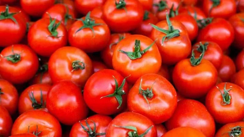 TOMATO 100gm