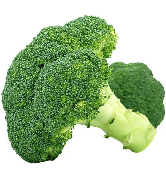 BROCCOLI APPROX 500GM