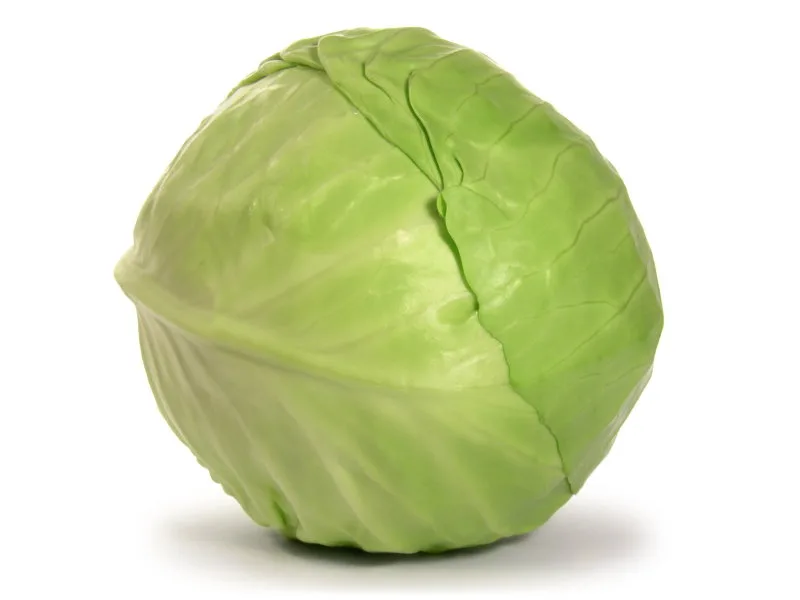 CABBAGE APPROX 500 TO 700GM