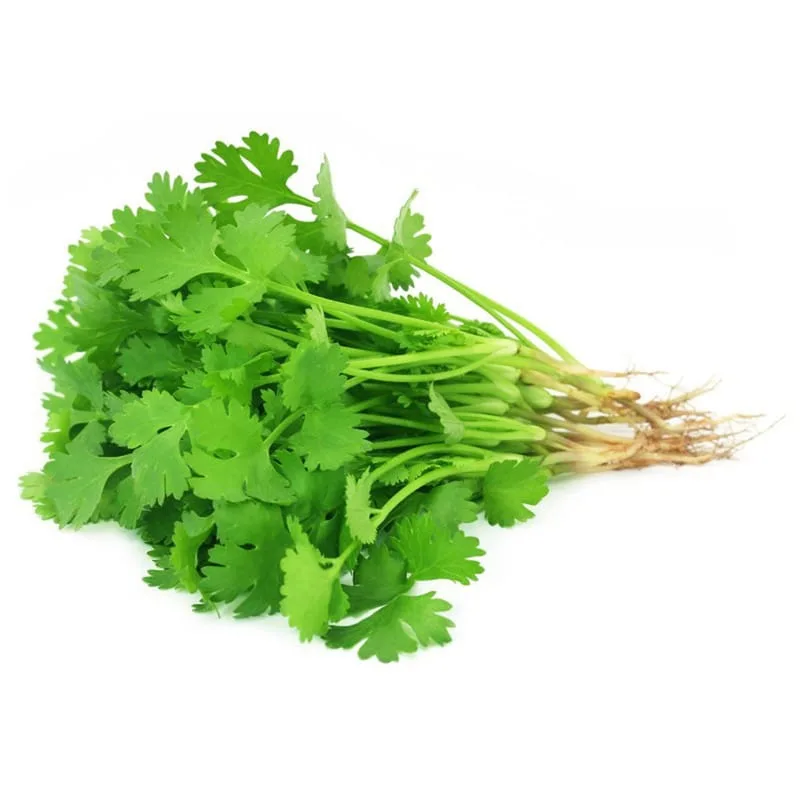 CORIANDER LEAF 200GM