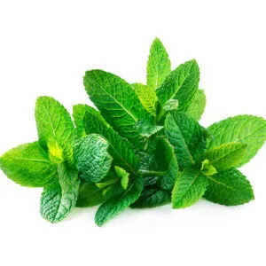 MINT LEAF 100GM