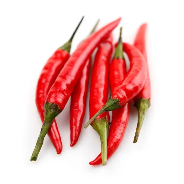 RED CHILLI PADI 100GM