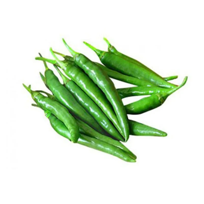 GREEN CHILLI PADI 100GM