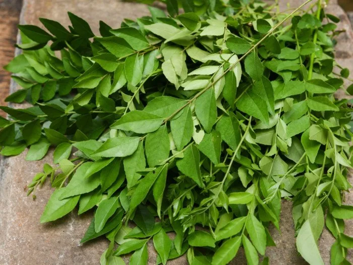 CURRY LEAF 100GM