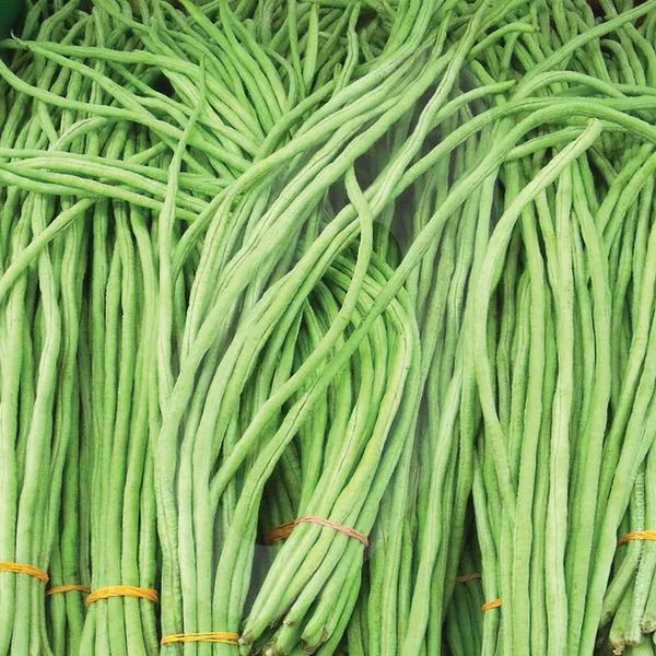 LONG BEANS 500GM