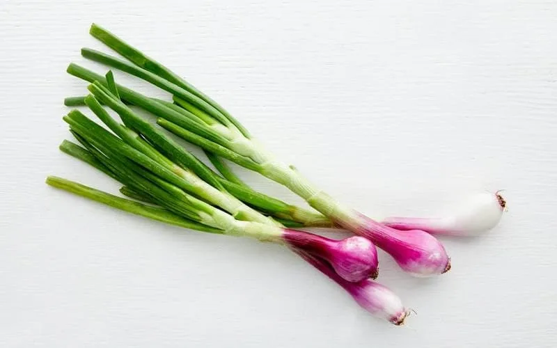 SPRING ONION 100GM