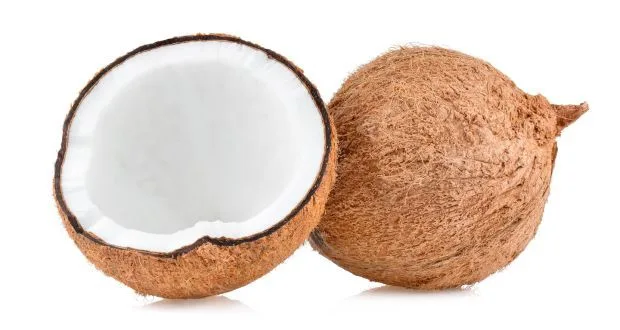 COCONUT 1 PCS