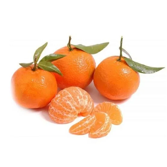 SMALL ORANGE-1PACKET 8 PCS