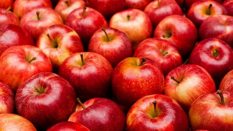 RED FRESH APPLE-6 PCS