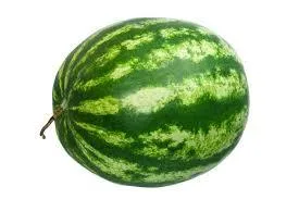 WATERMELON MEDIUM SIZE