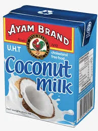 AYAM BRAND COCONUT MILK 200ML